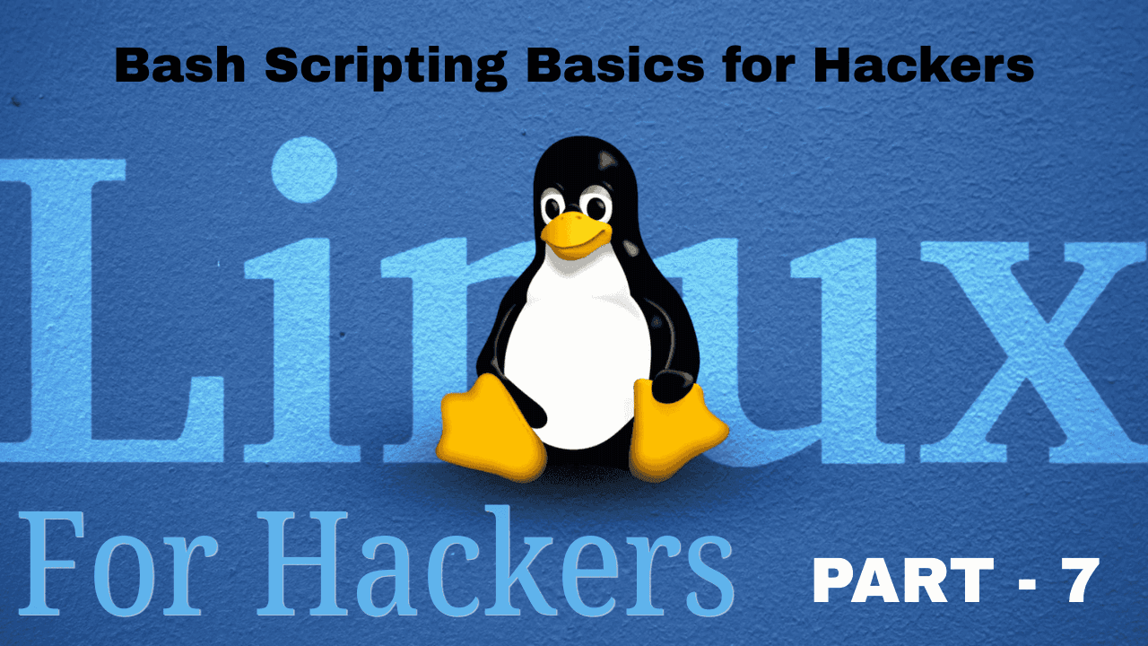 Bash Scripting Basics for Hackers