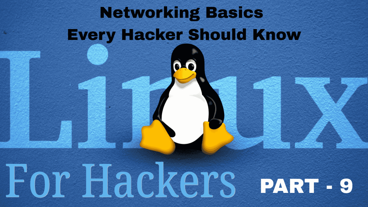 Networking Basics Every Hacker Should Know